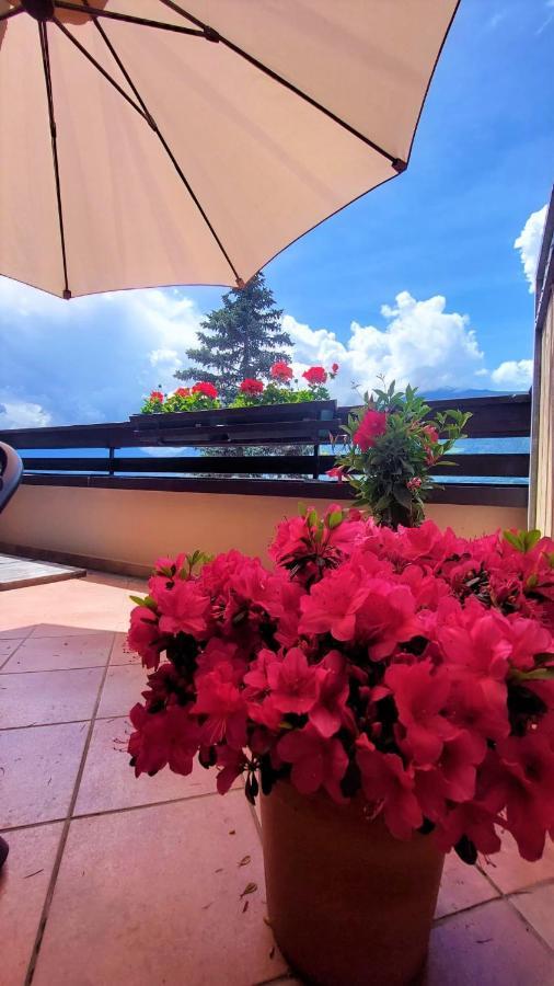 Nora S Home 4 - Panoramic Terrace & Bio Garden Мерано Экстерьер фото